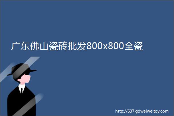 广东佛山瓷砖批发800x800全瓷